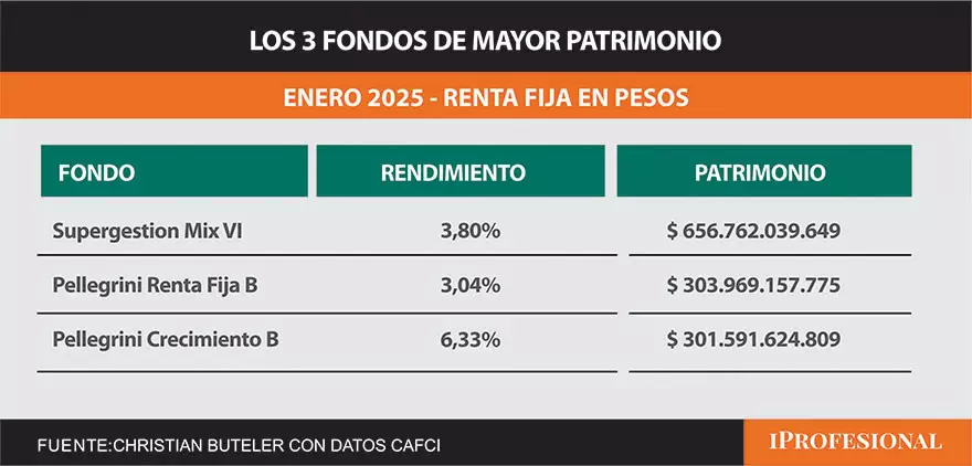 Los fondos de mayor patrimonio.